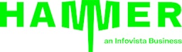 Hammer Cloud Platform logo